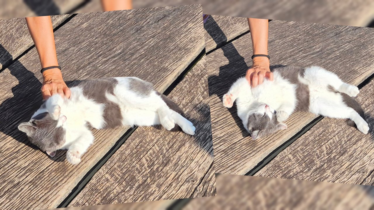 https://images.ecency.com/DQmVdDEsGfPeMogmrJtkXjrL9aePVx52g2yWedmgcXTQB2x/1753533916954.jpg