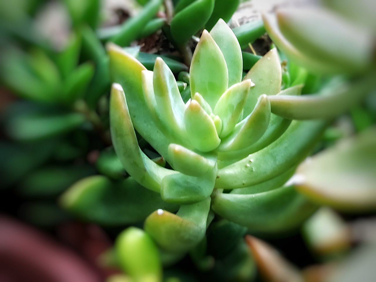 https://images.ecency.com/DQmVgQZsjqWfeGkPnuELDpYwHuNC4bbpB49BnbwcLYGvAmm/1751124873597.jpg