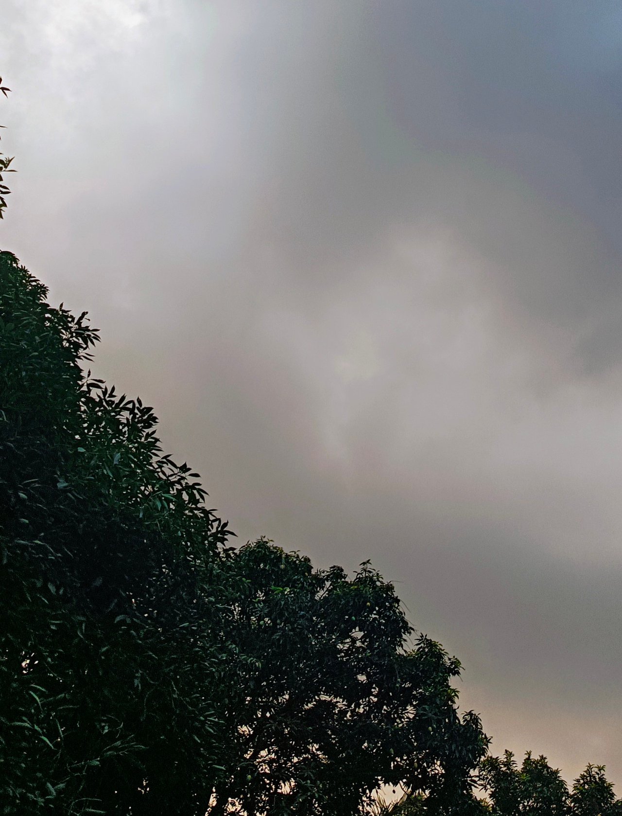 https://images.ecency.com/DQmVkqBCzDq87kLUBd3EbvFbWVcVoJhSkQnDDLRCi8boX4U/1756896638068.jpg