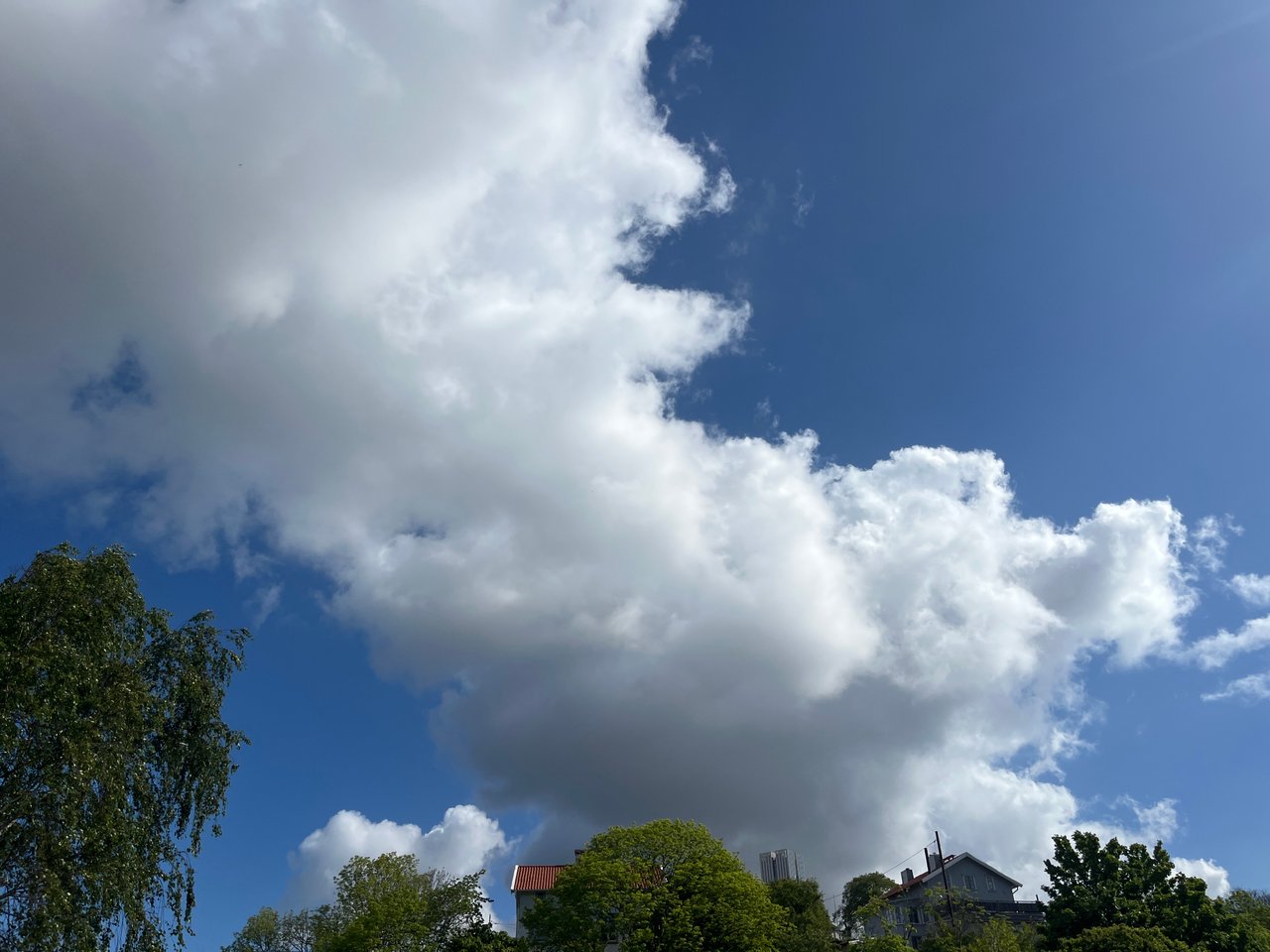 https://images.ecency.com/DQmVpatjhAxQ89b7Q6Xbxd3Fn7AVh6qCWjcHrVrQkVYKwiJ/21339083_f2c0_4cd1_b61a_f862c0359f5c.jpg
