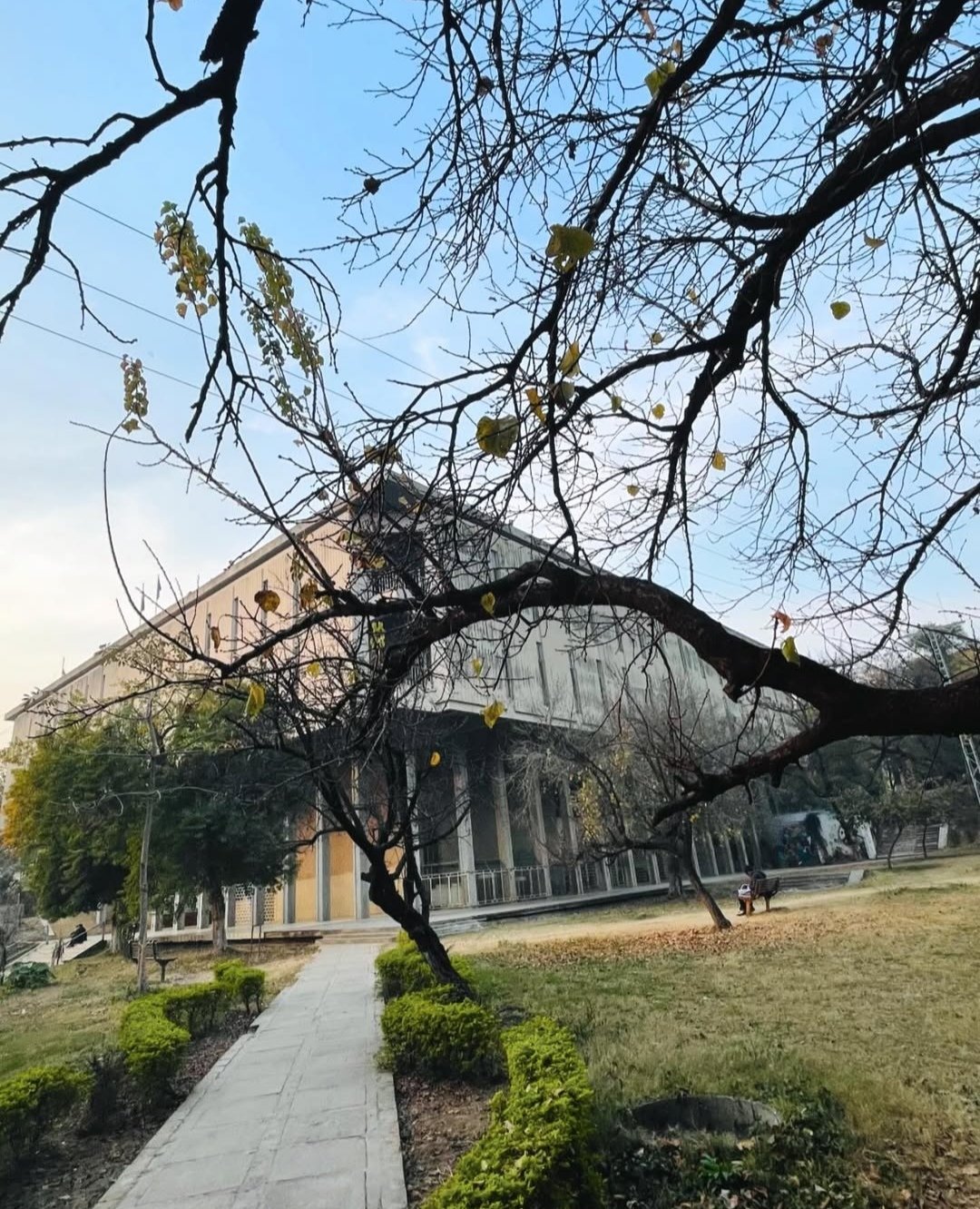 https://images.ecency.com/DQmVsqQumGm6FCjdHjP15gVhbTpLfCDCWLZfkwf2ydvM2ew/1738831899833.jpg