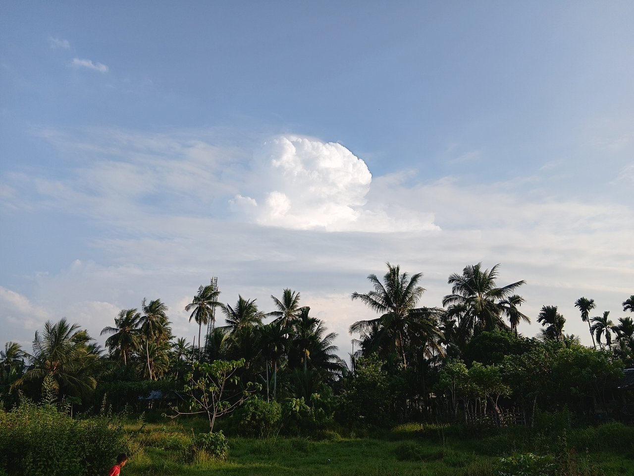 https://images.ecency.com/DQmVtHr8qSxEdTkkoghQ1TSE6hsS6PY95pVKox13t9F9LVj/1751291640085.jpg