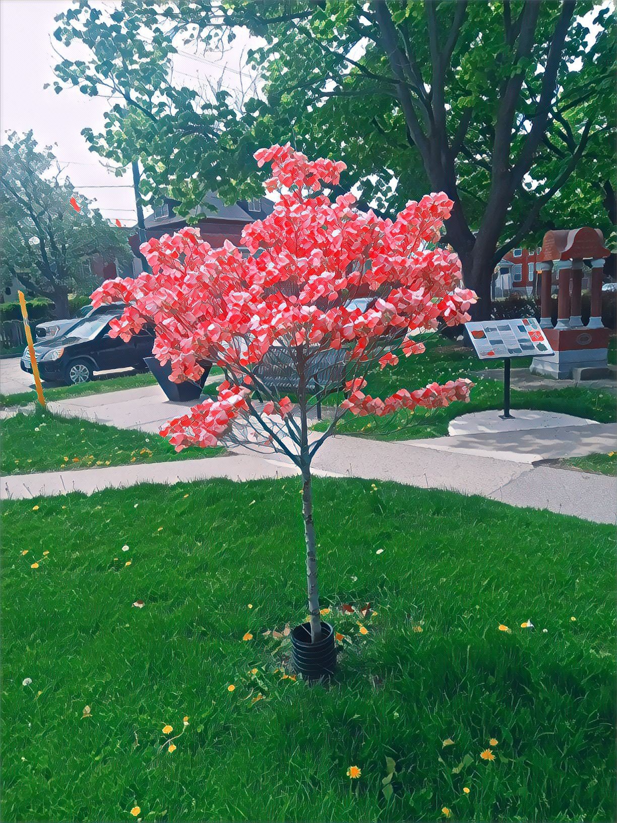 https://images.ecency.com/DQmVtVY18XXh5o4ANd4dyohKYknJYjFrFVfhV7vZVQd8Lkk/1000015389.jpg