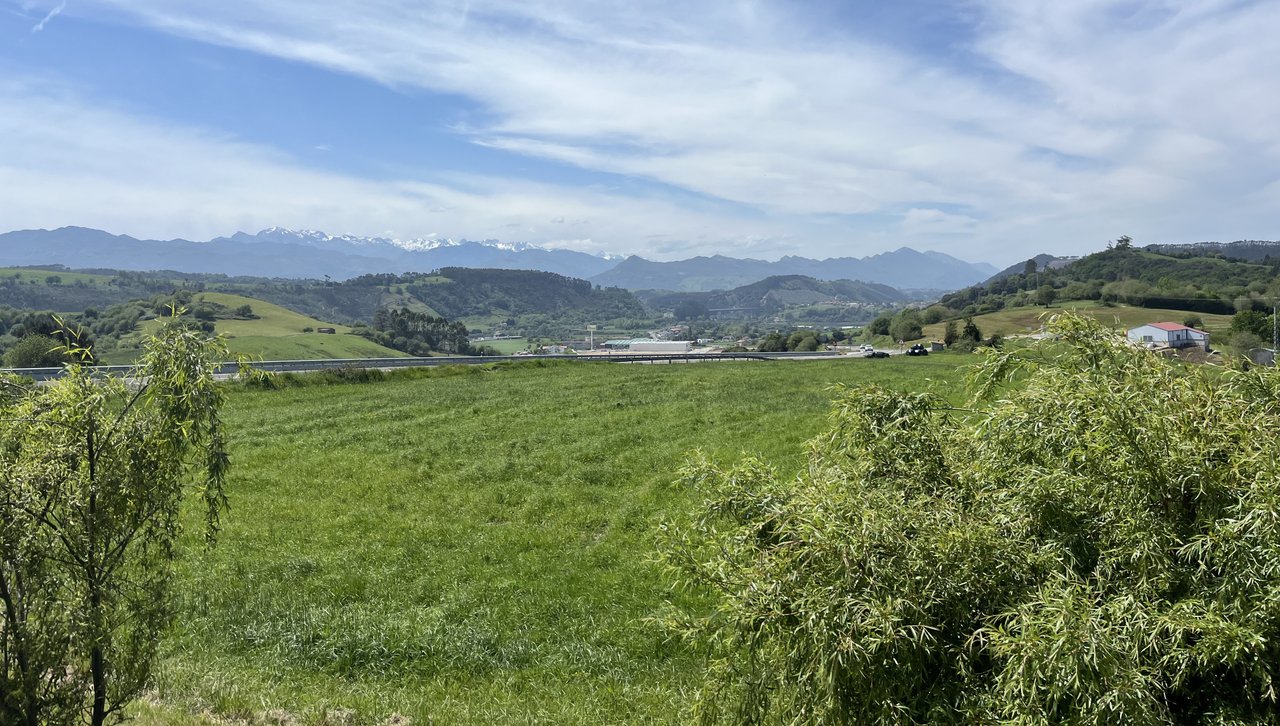 https://images.ecency.com/DQmVu2hZgL7Fr5eC16mhpPNXWB6CzmyByrYbEUen7xiLKv6/img_8885.jpg