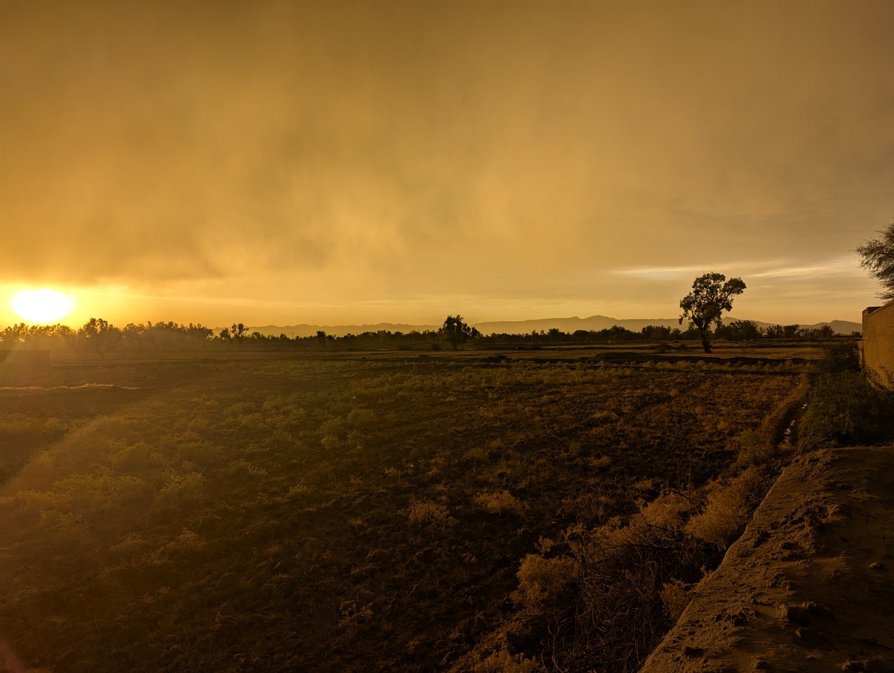https://images.ecency.com/DQmVvZxqC7yBwnrPrQvKpdFHBXQbeWadk7zAnmsAkrSAdmx/1747148997510.jpg