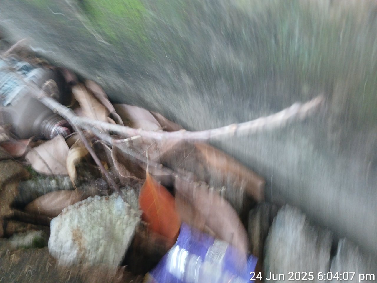 https://images.ecency.com/DQmW1GjqS36Xi666GU9M1FA74XLG4Ko7xuXyjND3BeAHrP4/1750892906721.jpg