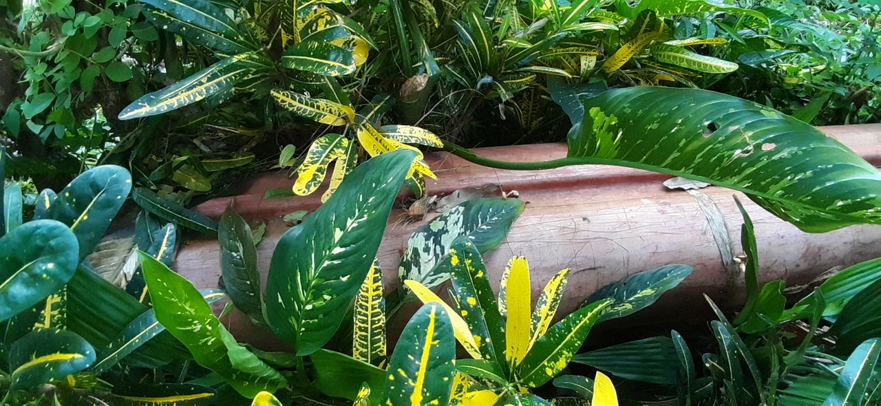 20191224_172811.jpg