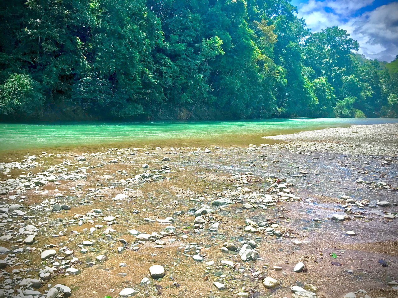https://images.ecency.com/DQmW7XJ3SVPu8MxPJzFvmUngYmz2edhmwEfgAokSRbkTUFQ/476c7eac_4047_411f_8a86_5264b311a641.jpeg