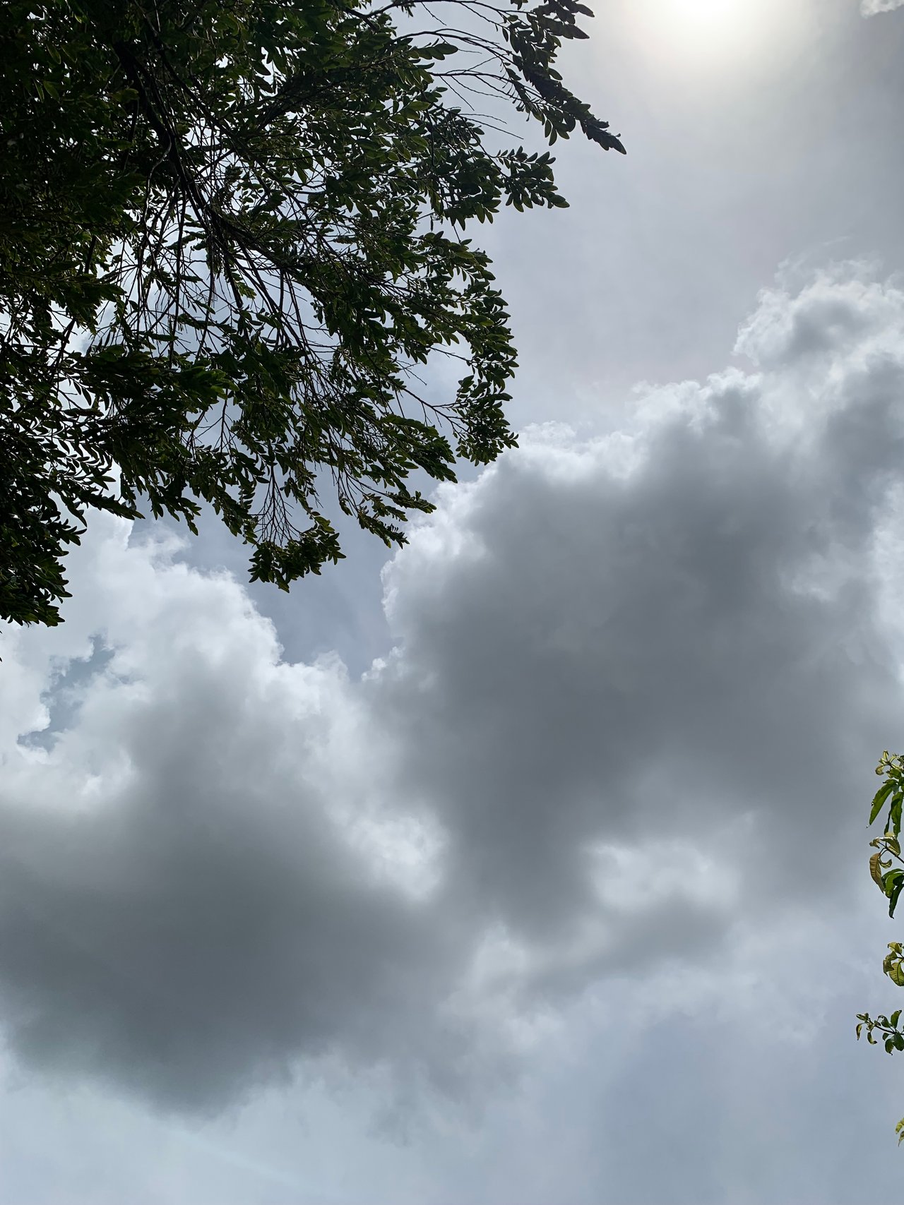 https://images.ecency.com/DQmWDYth6mm3gQGT8qyfRsiyWjbXM9UmbiyWqqrxYAeJHYH/clouds20.jpg