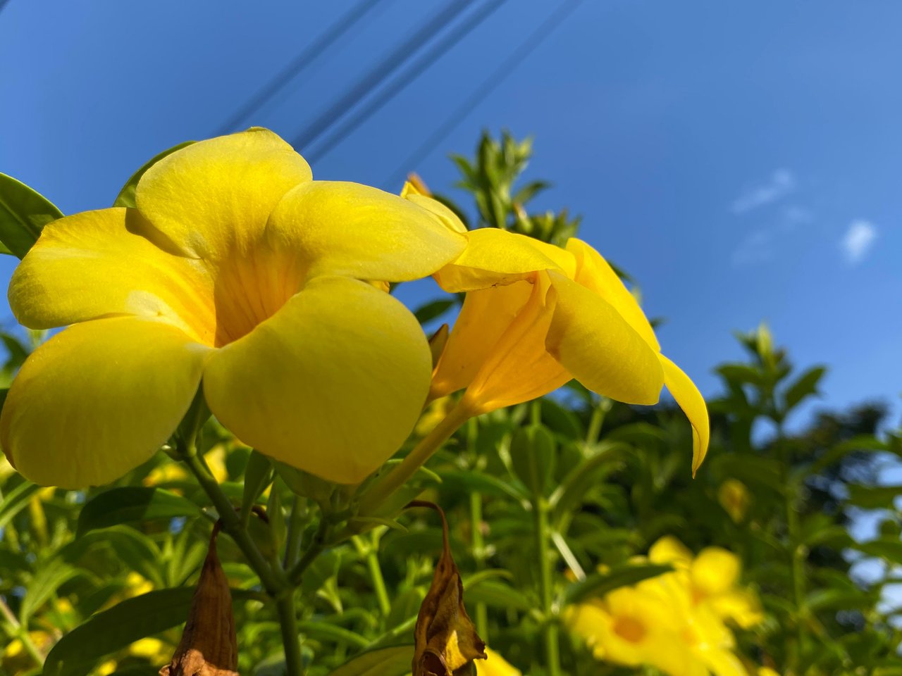 https://images.ecency.com/DQmWFgZz9XTFx3tW8roCzpuQ6dxK9JzcypUbVQAg5zm7Mzm/1754749942811.jpg