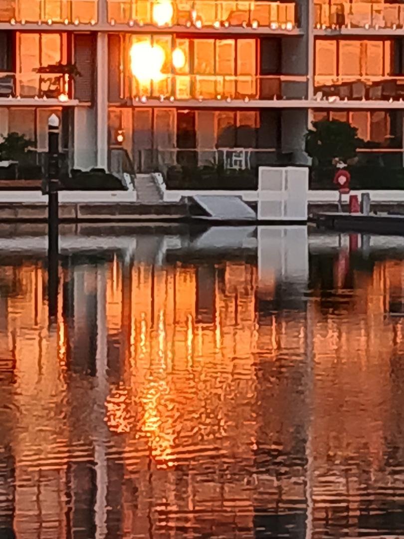 https://images.ecency.com/DQmWMhGiCNxPrakEmr6XRHReFfwhkNthkL9f7sTTQVr9gBr/2025_sept_5_reflections.jpg