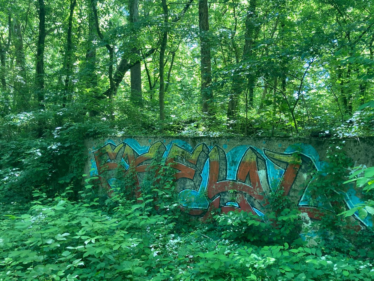 img_7778.heic