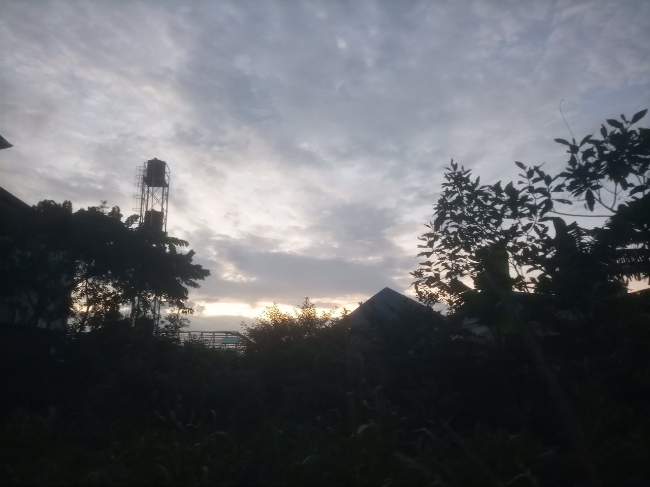 https://images.ecency.com/DQmWSmvhCYqstpSUDd9JVAcrZkk6kVr4NkYKepfgMpy5a4m/1750680634911.jpg