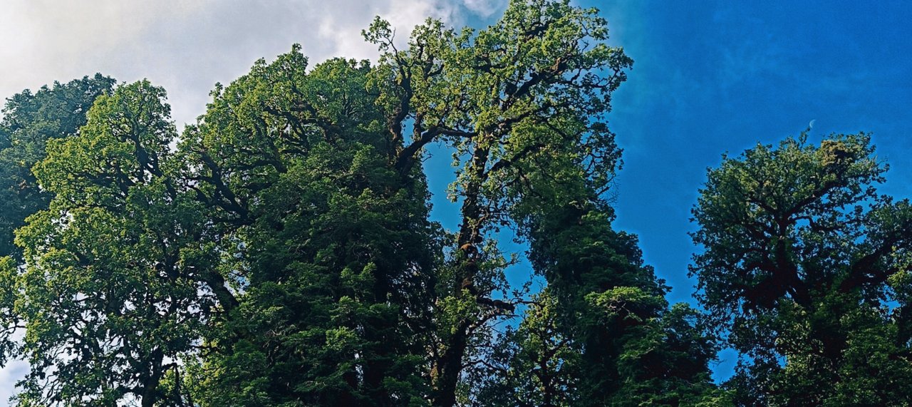 https://images.ecency.com/DQmWZmYNNLynCeY9KHhNYnPTvrada5aj93JLVcdNefsHKQD/snapchat_1515122454.jpg