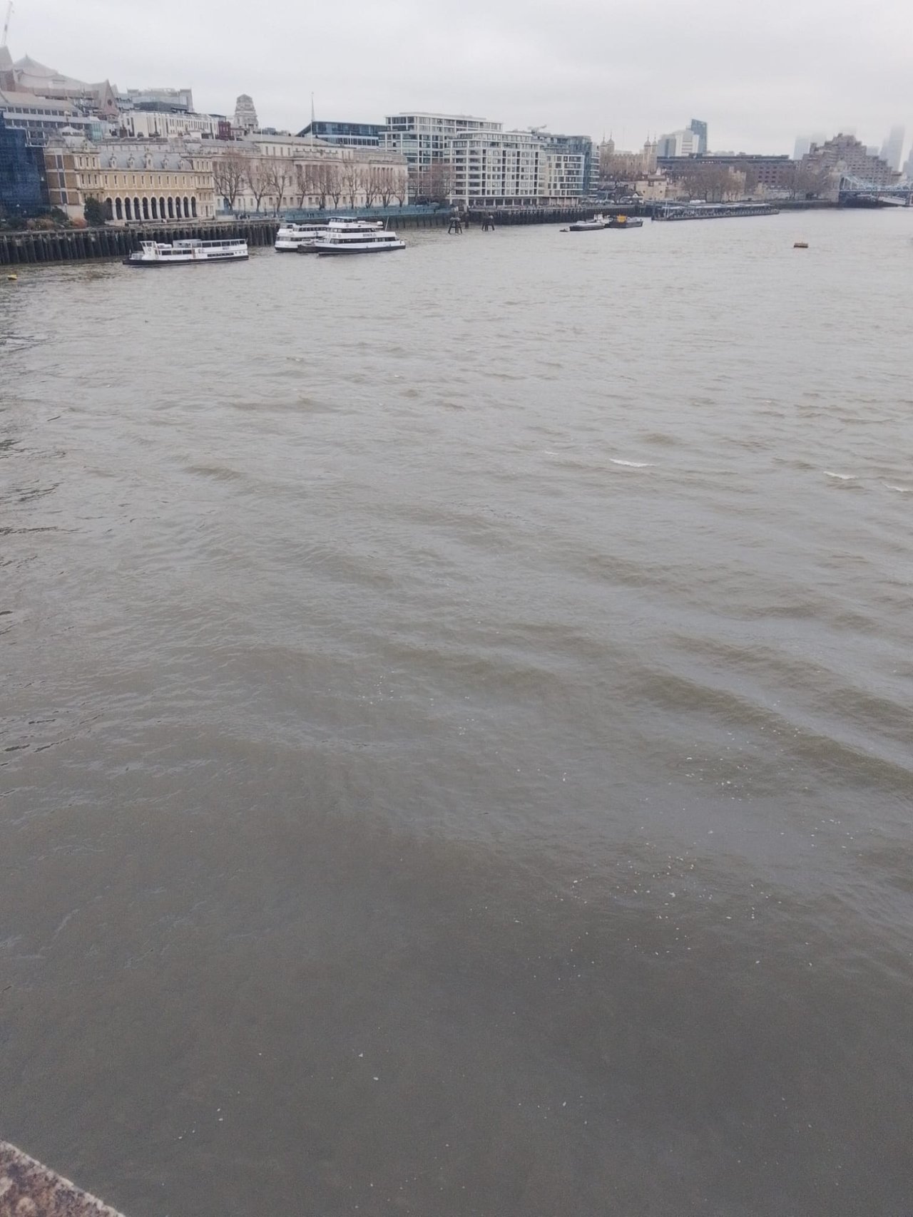 https://images.ecency.com/DQmWbkpxEKdMZKoNyEsVCwRaKqZRmZnKwVpxzmTQhnFENFX/1741065762214.jpg
