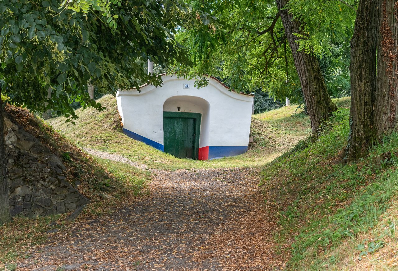 https://images.ecency.com/DQmWgJyvz5dnu6XRs9AuJGiKt9sKuqWEx9JVFZz1RiaEdk7/_dsc0231_1.jpg