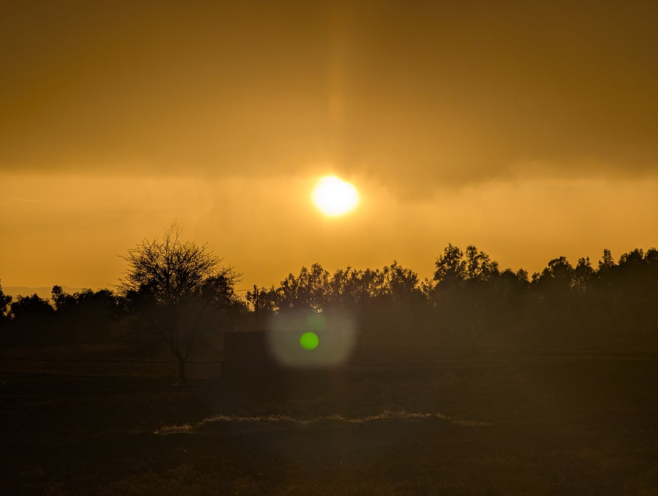 https://images.ecency.com/DQmWhRk7rUdVAWSiESKqe7h4nr9gdBduiFS6yP2uh52dDUJ/1747148935029.jpg
