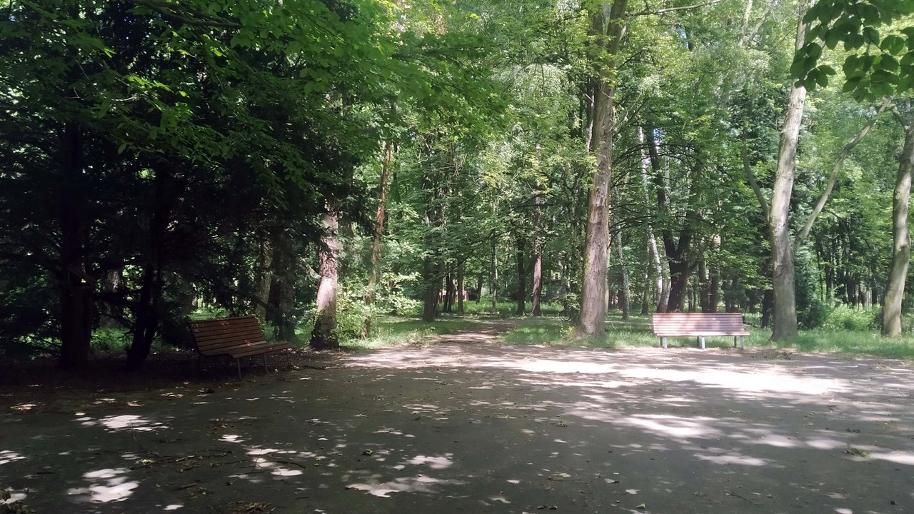 https://images.ecency.com/DQmWtQsFgJBZVrx4obFLCv6YYtdxBRNXPzsz4ypRGsqRxba/a07.jpg