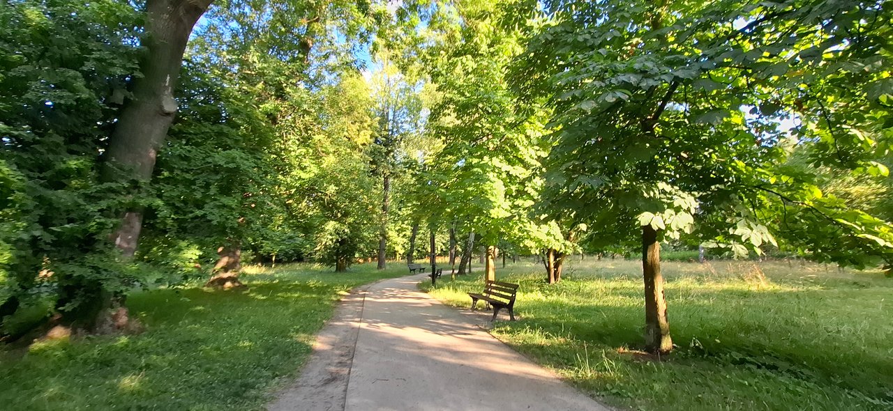 https://images.ecency.com/DQmWwS7kJNDL9rAUPXWYLH18nD8sZibbd1FBzjWz3SGps2C/1751658226179.jpg