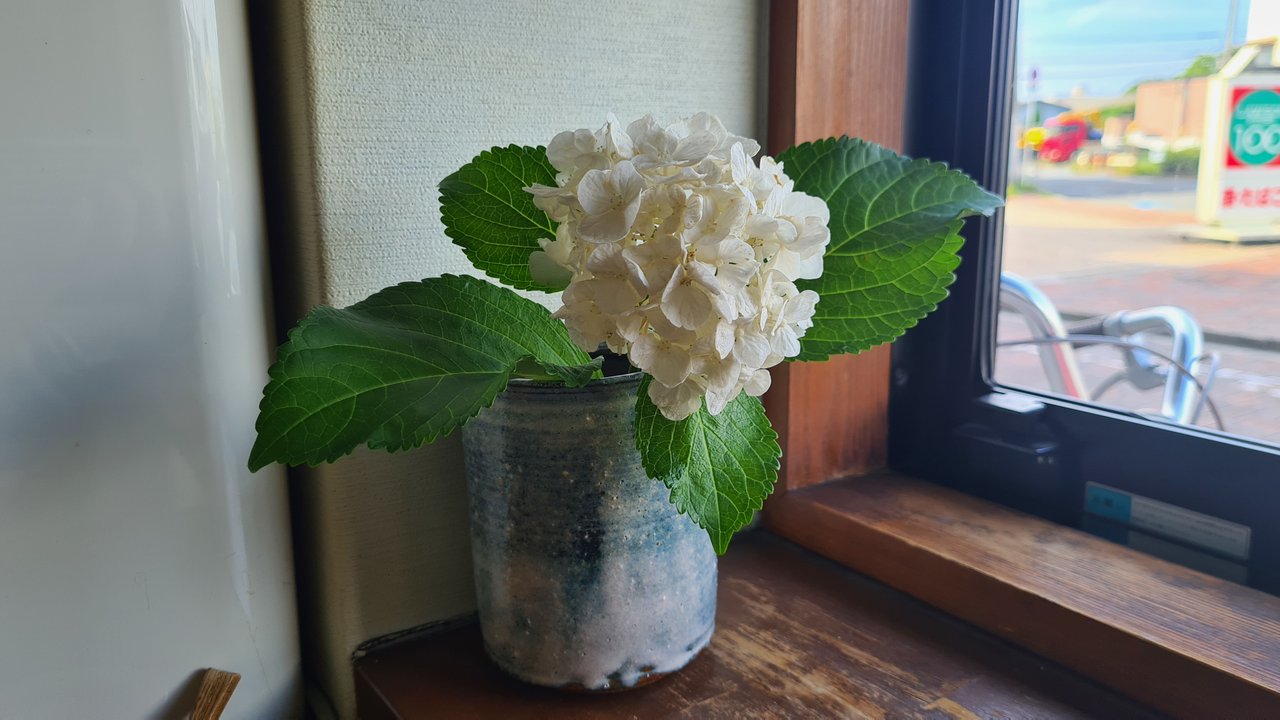 https://images.ecency.com/DQmWxR6kKopK9sAq2rChQvd7DVzbYc8zmooNc9cCaZ5KWQm/1750684310062.jpg