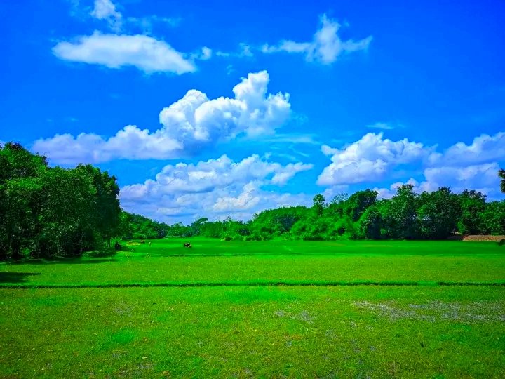 https://images.ecency.com/DQmWyAQ432E6EmebqJojr1Tq29GXLUrttPKEnFZcGerQGio/1749857434399.jpg