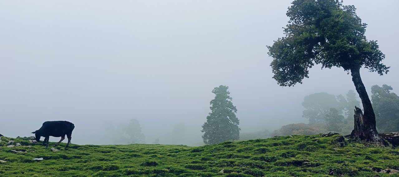 https://images.ecency.com/DQmX5cxMKHdrMKtzRbK4j3ze4TDJFqixRuJ7kBxmKcCLKu3/img20240629092344.jpg