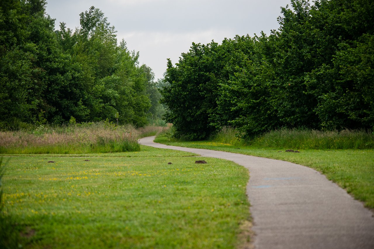 https://images.ecency.com/DQmXDg8hb8DL9q3ZLFtu72V4Lwn317pZspWexC4ivLAnmxU/30mei2025_05854.jpg