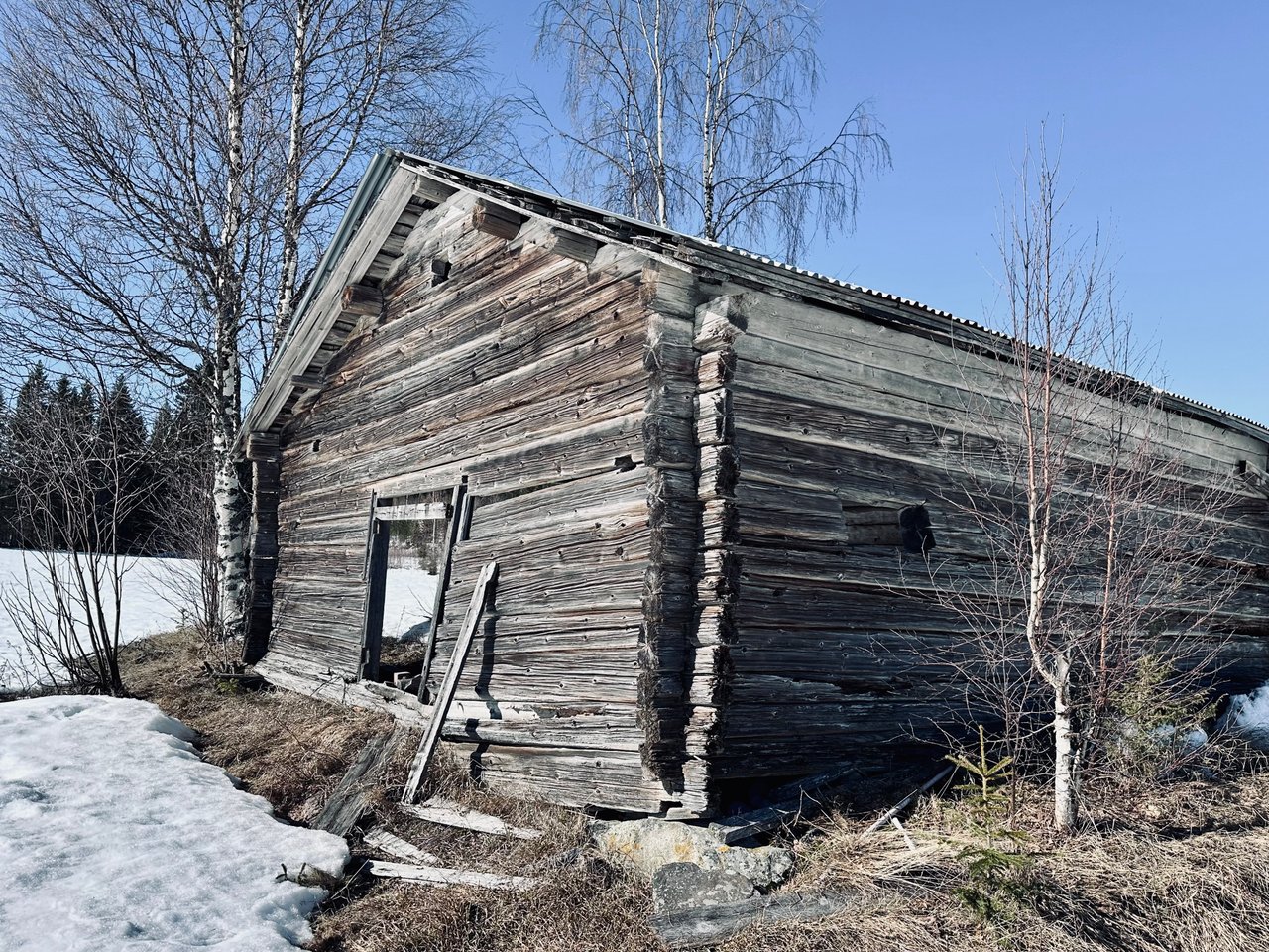 https://images.ecency.com/DQmXH3AwgDumubdmgWH2o2C2oQBKuLJo1bm5Kxufu4ccNew/img_1738.jpeg