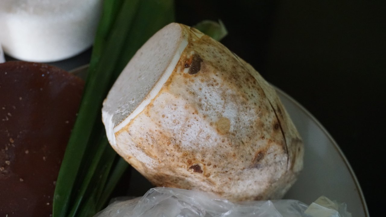 dsc08994.jpg
