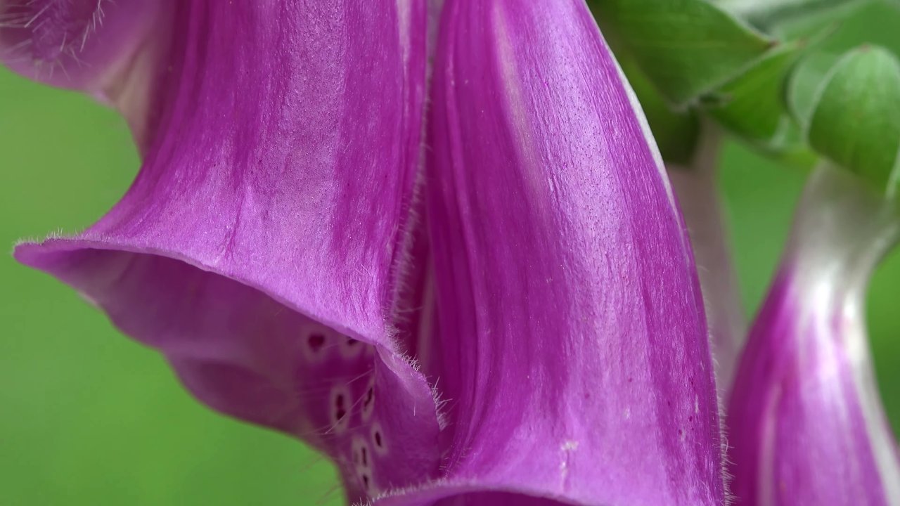 https://images.ecency.com/DQmXQ2wWZeGYyrTUKXhzjsUit47nK6FpgbpctaaZuEu4xza/d07.jpg