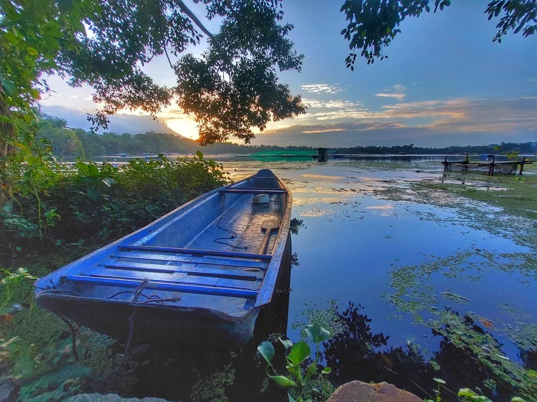 https://images.ecency.com/DQmXS8jocUU5X3TZdCNjcH2UTdevY8kQQs9N85F67W4Qrz6/1749860306524.jpg