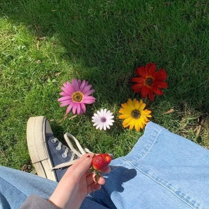 https://images.ecency.com/DQmXUbvCAM5U7ukwSYmSh7AH1gR4PE36VtktoQaNoLGCSFn/1750036040055.jpg