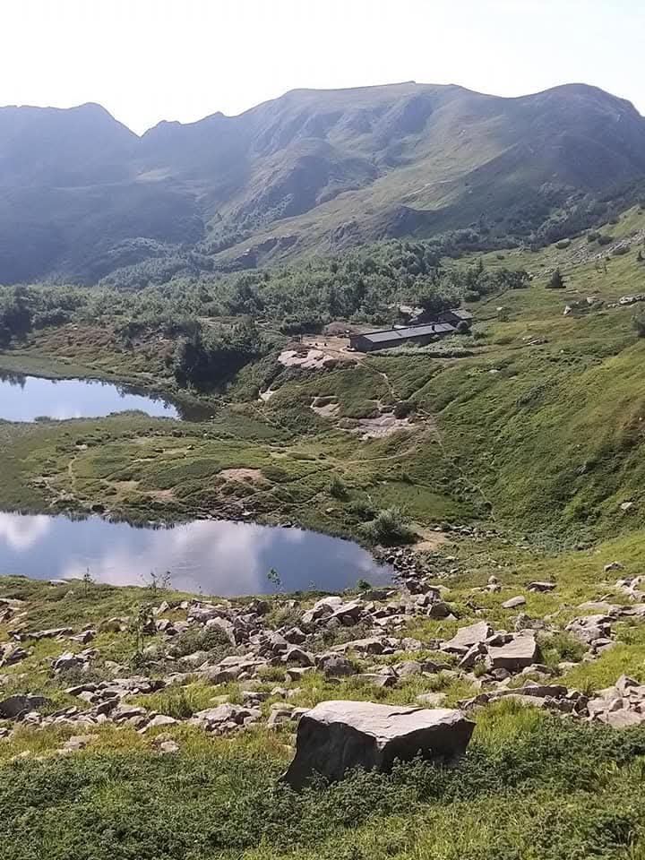 https://images.ecency.com/DQmXafT2aV3463NdvCfwa2oXfLSKf2Y1MV8TmJPgy7RPHrW/1753210810190.jpg