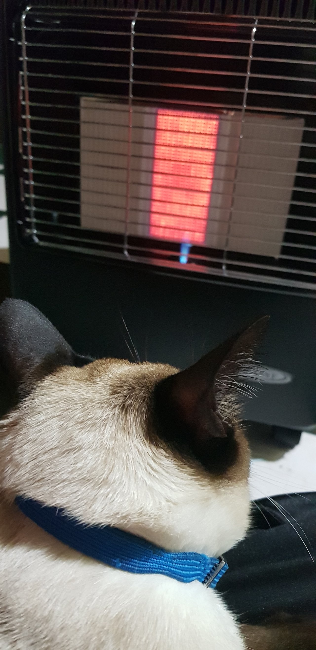 Warming up