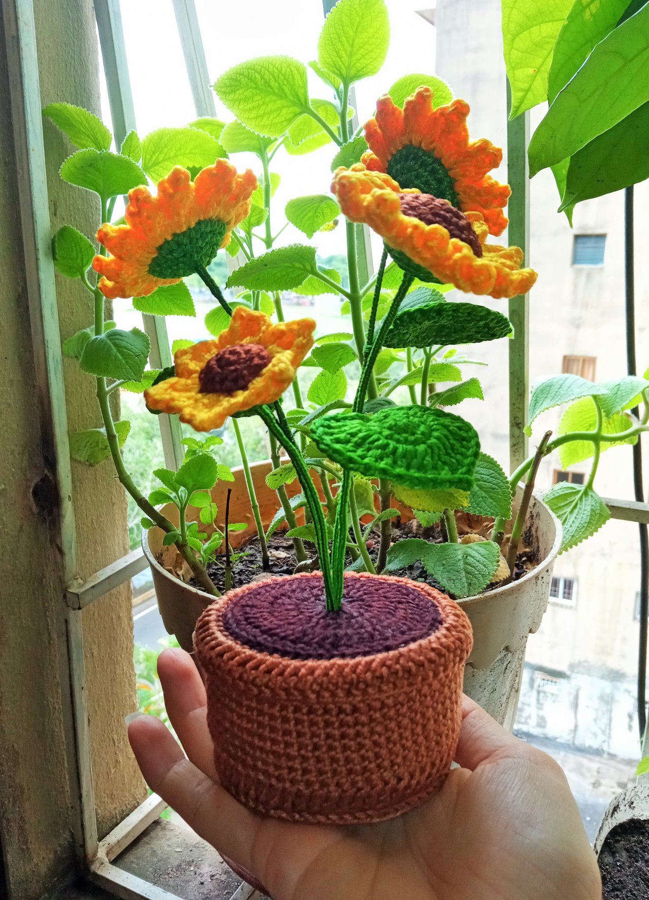 https://images.ecency.com/DQmXgjn8gWEMBMF9JV1eqyHo4ff93BNqBZkEvGz6djY6aTS/girasoles_tejidos_a_crochet.jpg