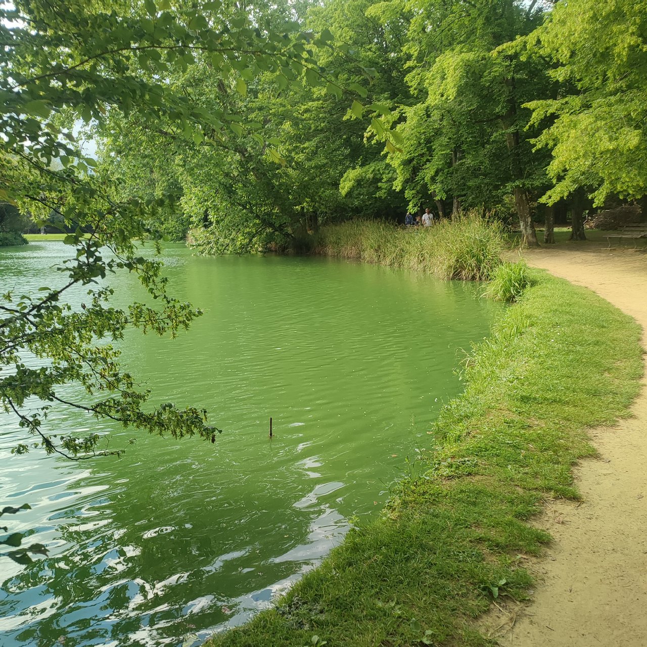 https://images.ecency.com/DQmXiUfBYKRkqtfiypb17zydDLLuxeSHuFWWnLS7xBBDAmq/1751480042098.jpg