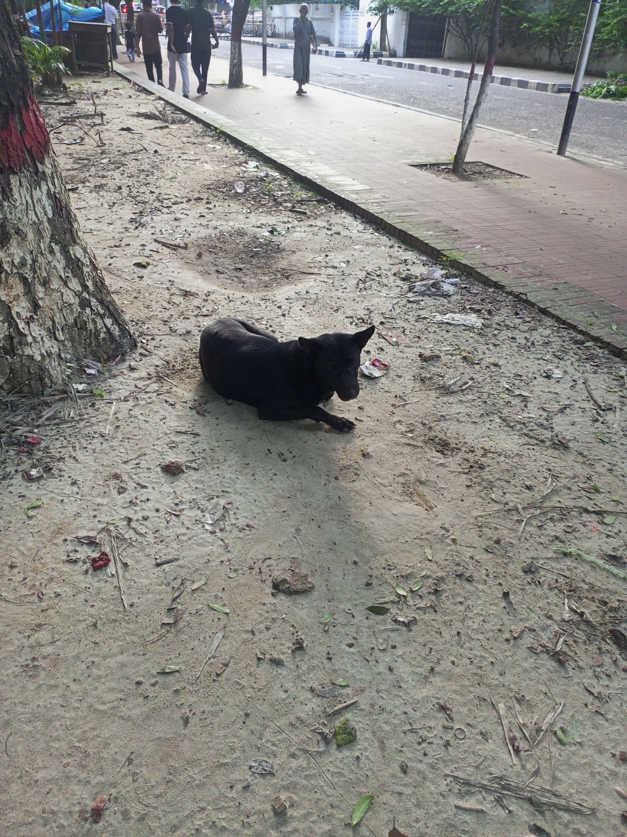 https://images.ecency.com/DQmXnAkc2gqPhhmEMhvMoJXWkN6bwMJW5wh7MMEu7ggQcW5/1755001483398.jpg