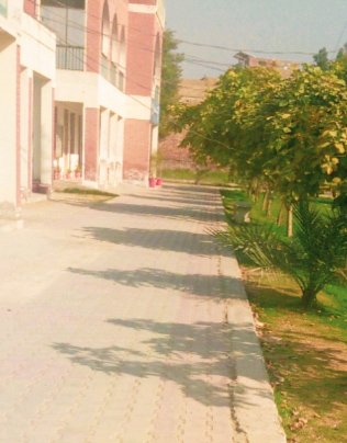https://images.ecency.com/DQmXsH32PCWK9n7zhWTdexHVHJZqNCLttdCJjTHYWGQMZNa/1743656073723.jpg