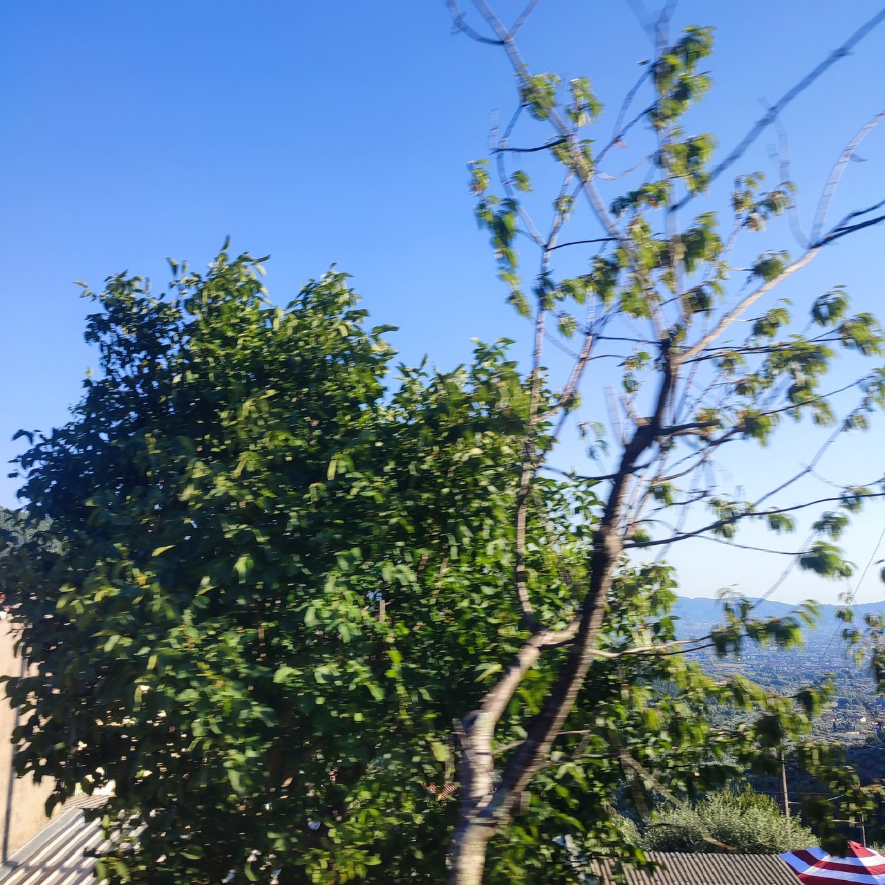 https://images.ecency.com/DQmXvbbYb1j7frjzudtZLK3fS77k5q7nTkSRpo4dwSxqhbP/1756573655936.jpg