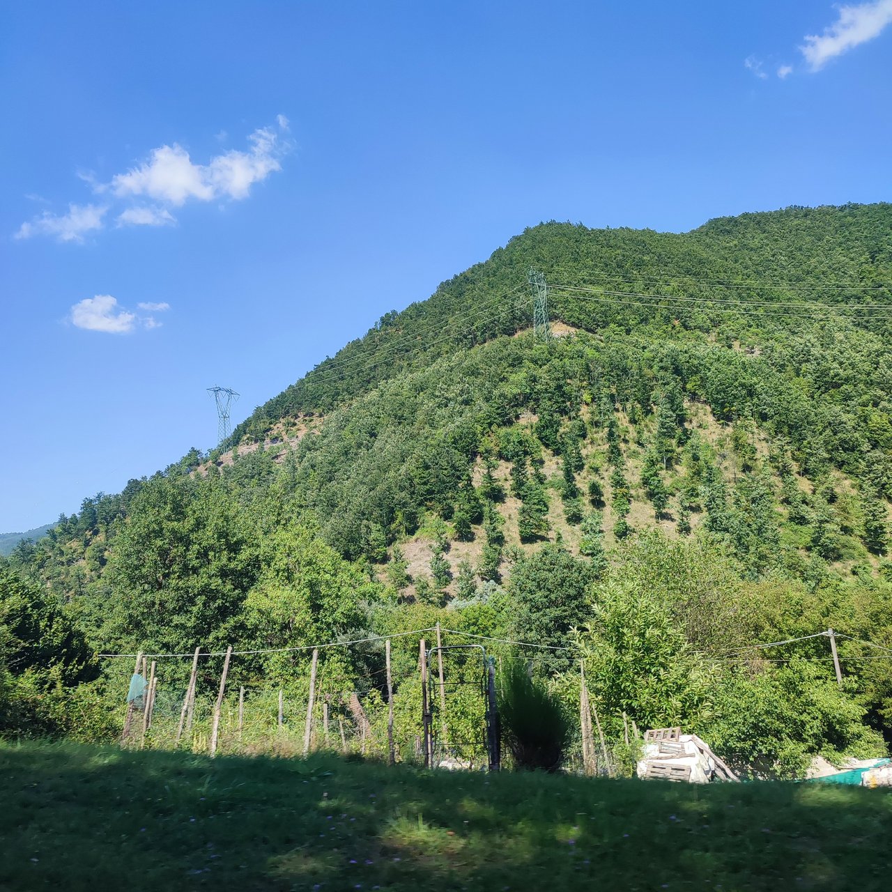 https://images.ecency.com/DQmY1Tias6cAceeKzqmPrsKjCukKLYbmzdnQKEXnhbfqh17/1756573659468.jpg