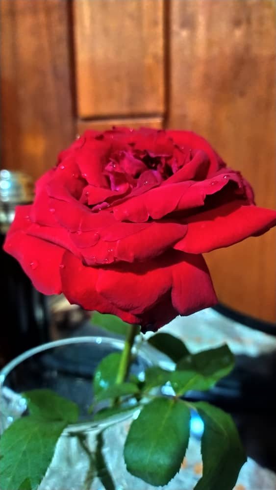 https://images.ecency.com/DQmY2Ao9YLVYSJCoM2SkzYWzZ6y2beDaupTde38uvib5qpU/1748062513847.jpg