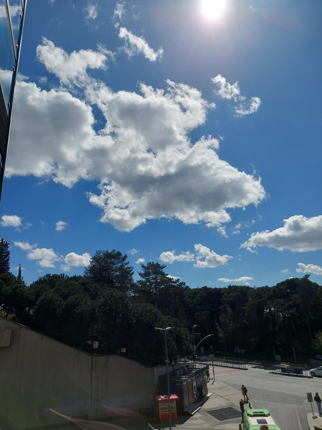 https://images.ecency.com/DQmY2TkuJGn1pb4kEviFQdcHvVbKtNK8M6RLsXirdpZUwsR/20230330_125646.jpg
