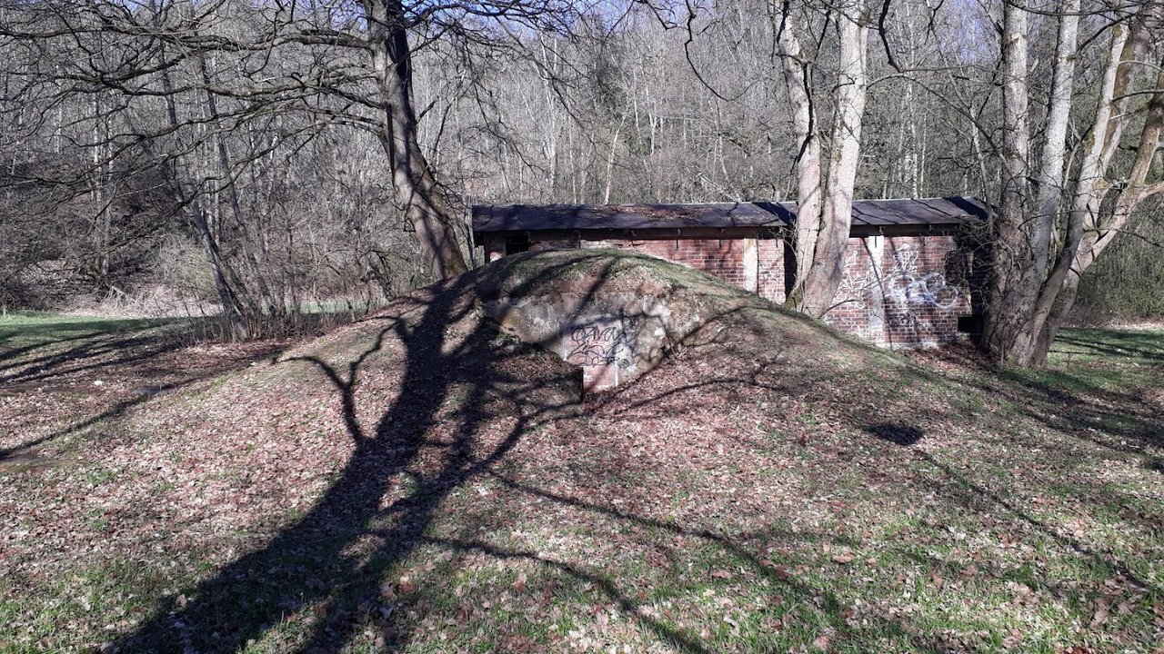 https://images.ecency.com/DQmYA7CNyifLMd6DvQeZ3pHtrTUdoe2gytB8A8iypc3a2ek/20250406_161909.jpg
