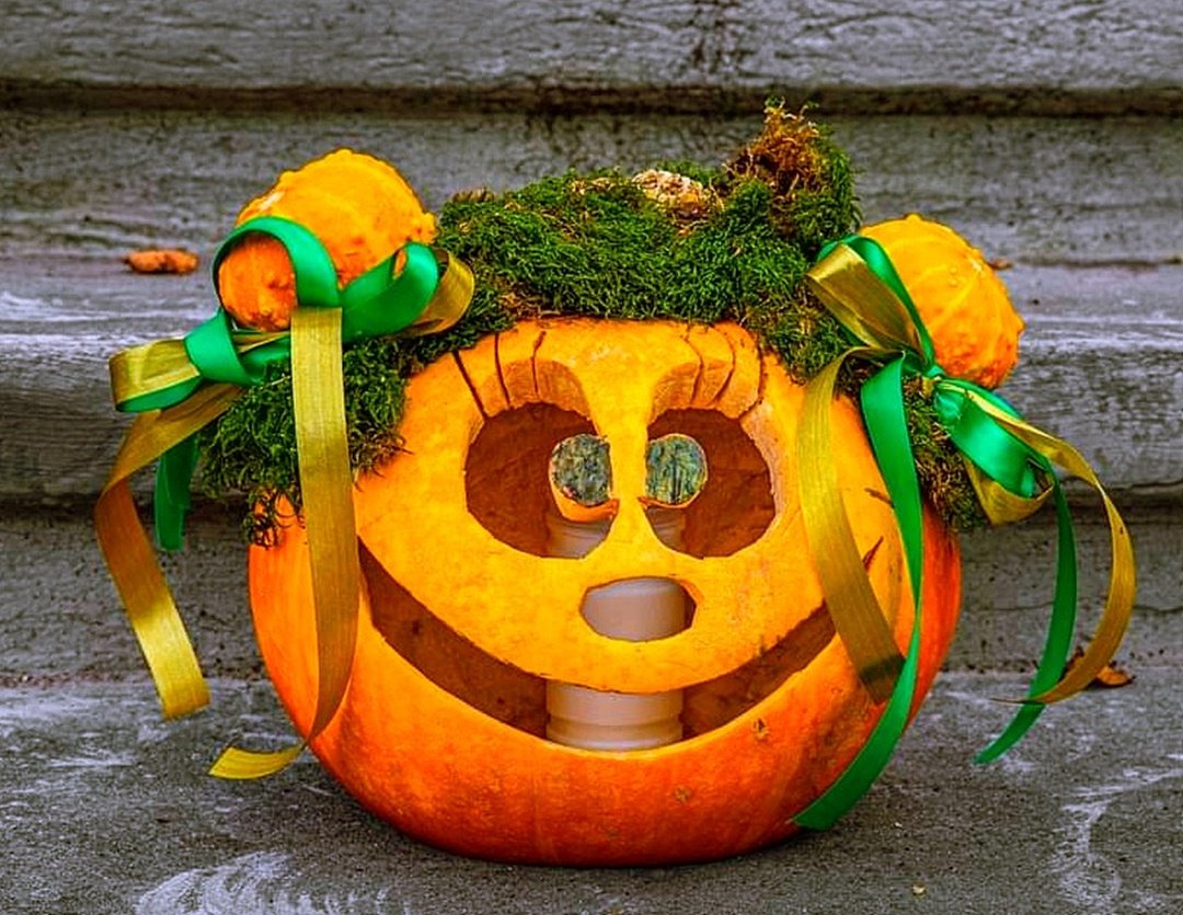 https://images.ecency.com/DQmYAEvu2p3w4tKP7VpdG164oKyjhB4Yw5XvXhLigb2CS31/20231031_184057.jpg