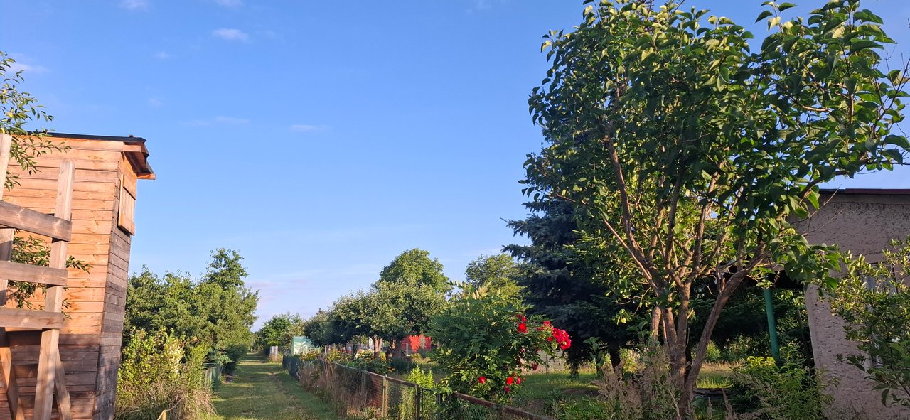 https://images.ecency.com/DQmYHNVx1qndZciWKTHdMaFbfSKKw51NCD3QjdtXfQhqgKP/1751658156956.jpg