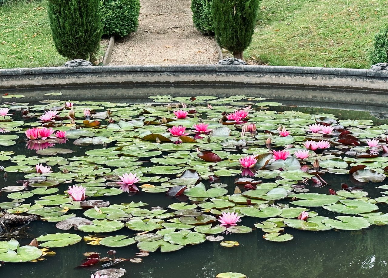 https://images.ecency.com/DQmYJi4PsdXbwesiY44riQokimDAVymnKK6F2qrjnup1S3v/img_5594.jpeg