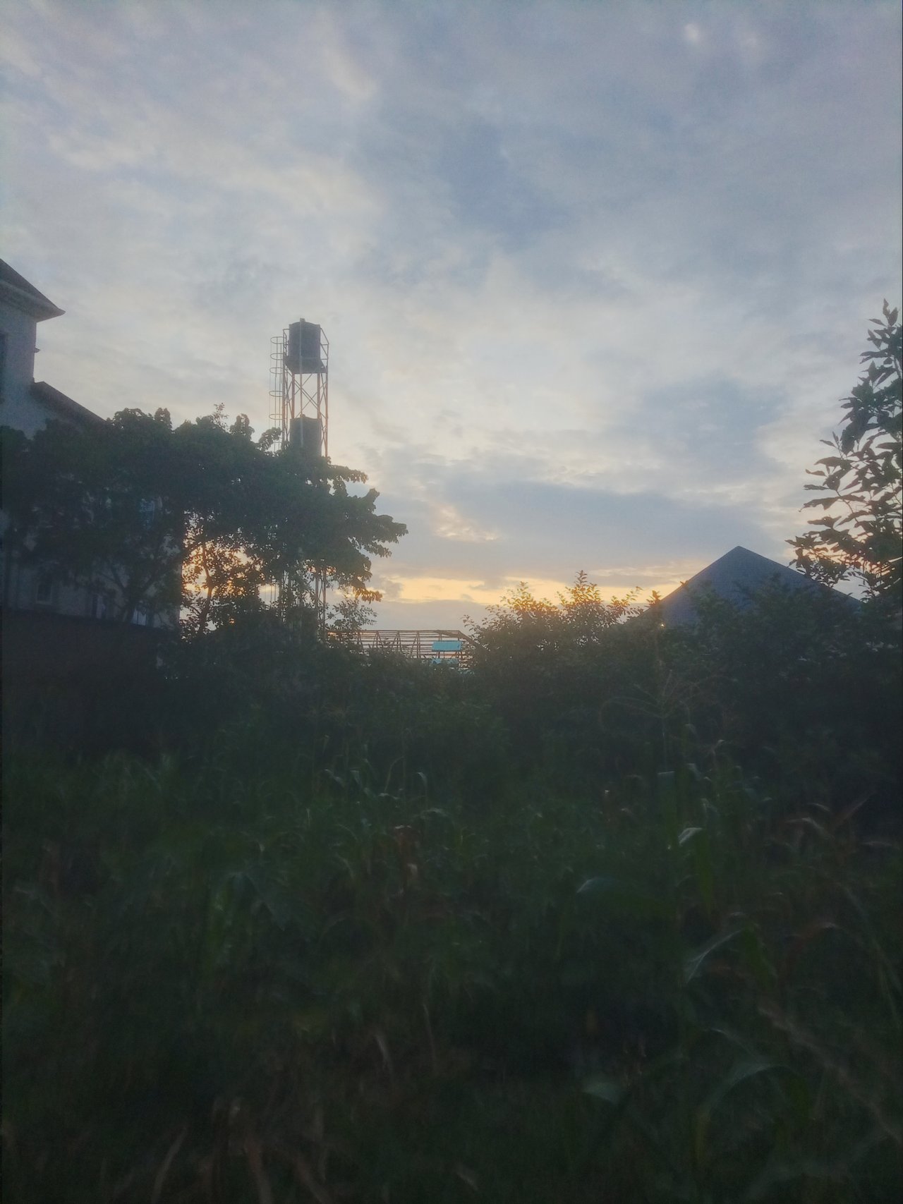 https://images.ecency.com/DQmYLyZzLQtkXJTyWWJoLLU17CJGFoP838BWJfG4iYWYq9t/1750680636308.jpg