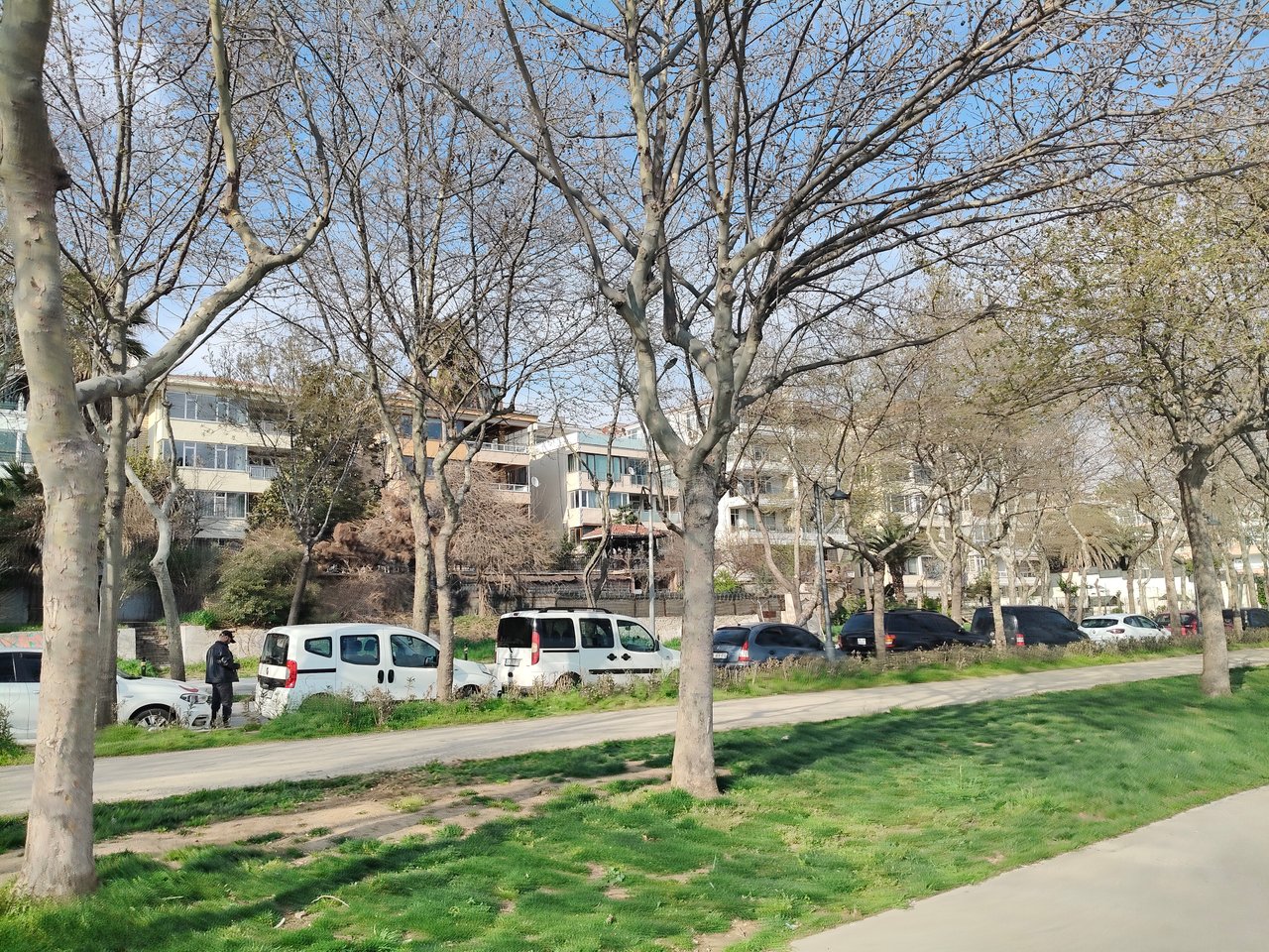 https://images.ecency.com/DQmYPQc5LXDcHd1yqG2T1CP3J1j4q2hmo2PdANtM8YAVA9x/1743429532740.jpg