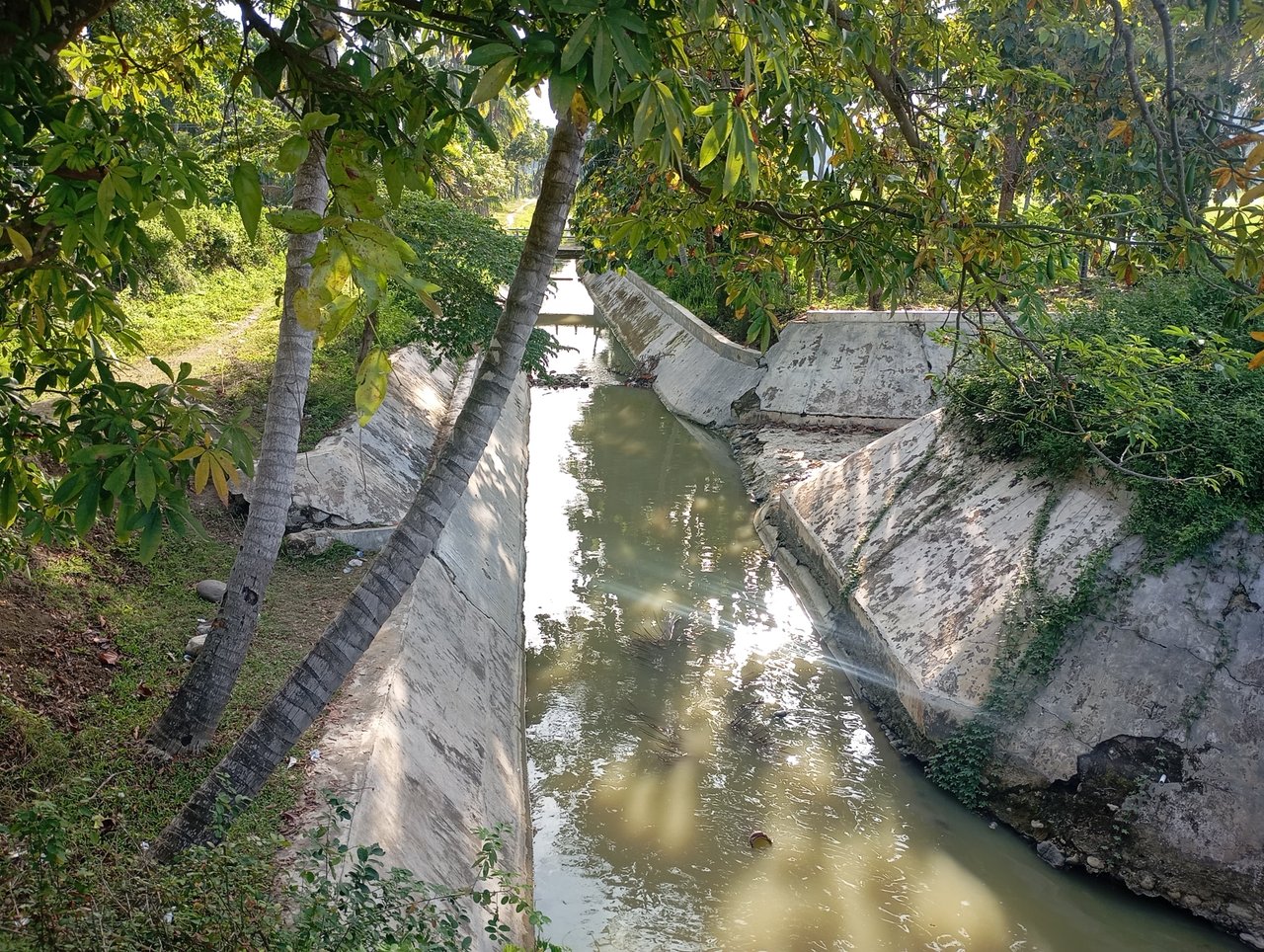 https://images.ecency.com/DQmYT8GzrMT9ZrEJBeruB6bXB1quy43LsrmsYoErGePx2zg/1000938879.jpg