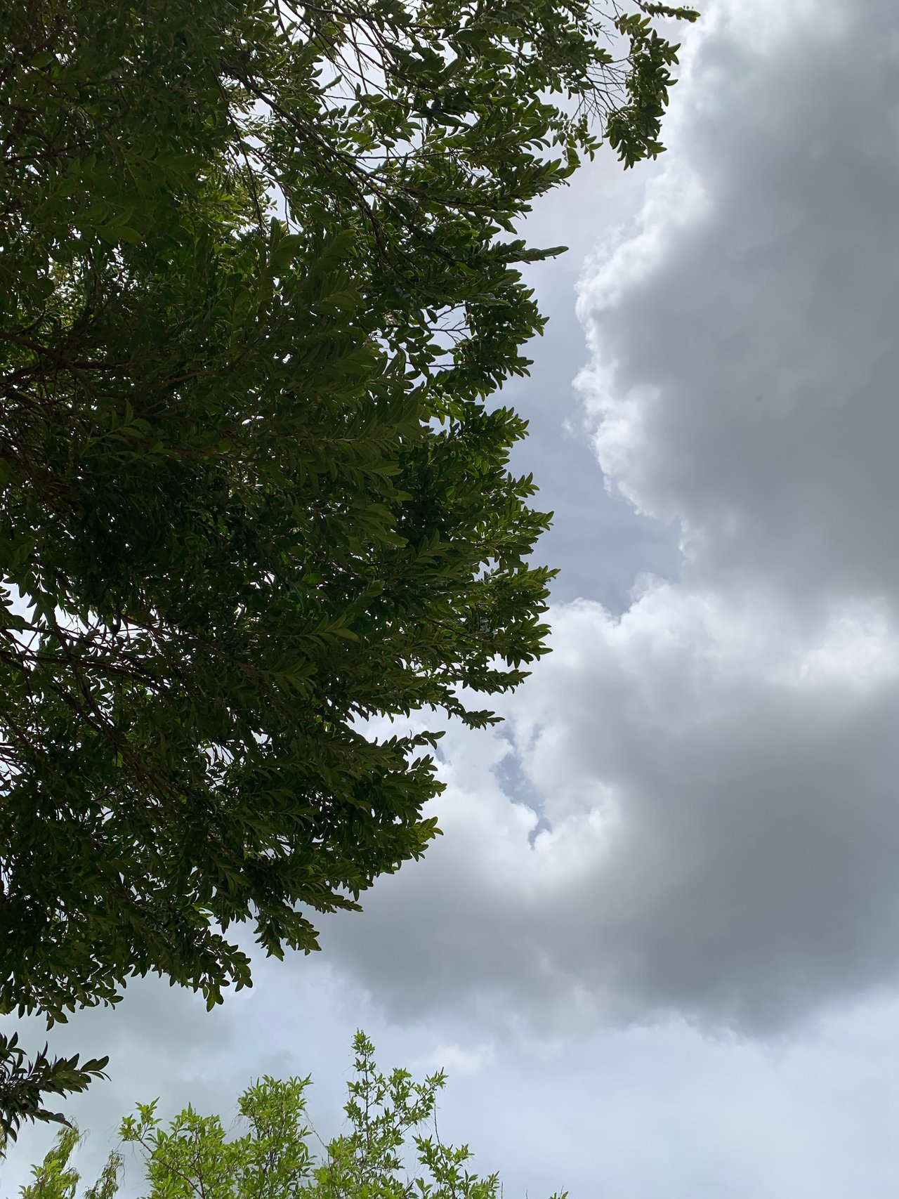 https://images.ecency.com/DQmYbp4HeDeM8qSRw2ChzmWvEmUb1nCEo5fv9SGKEUTPJKv/clouds22.jpg